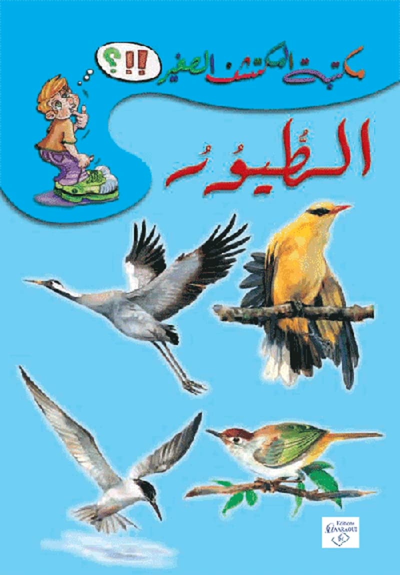 الطيور