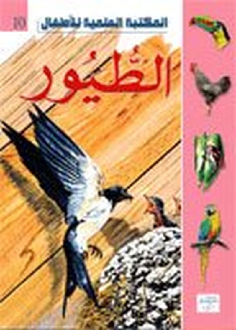 الطيور 10