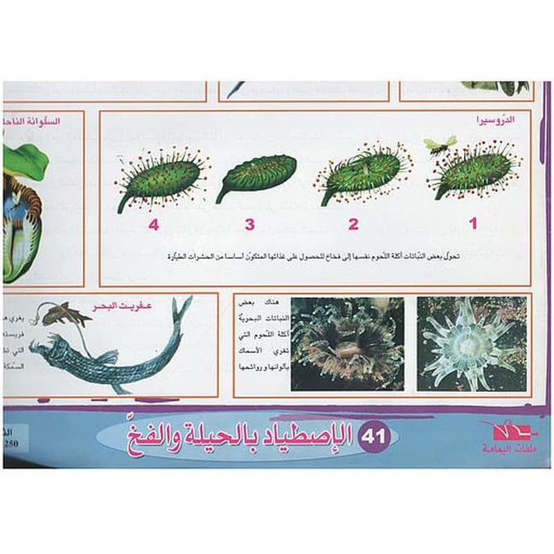 ملفات ورقية تعليمية الإصطياد بالحيلة والفخ + موضوع
