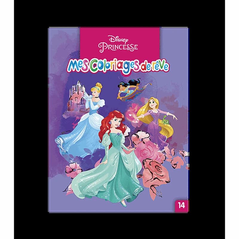 Mes coloriages de rêve n°14 : Princesse
