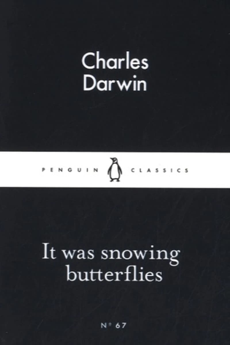 It was Snowing Butterflies