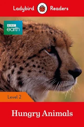 Hungry Animals, Level 2
