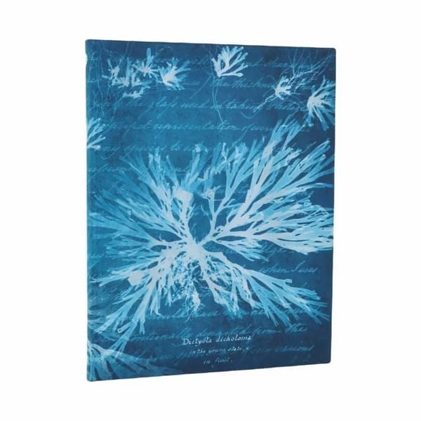 Carnet Flexis Fleurs Marines Ultra Ligné