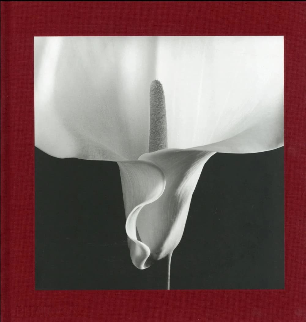 Flora : les fleurs de Mapplethorpe (Éd. française) [photographies], Robert Mapplethorpe ; sous la direction de Mark Holborn et Dimitri Levas