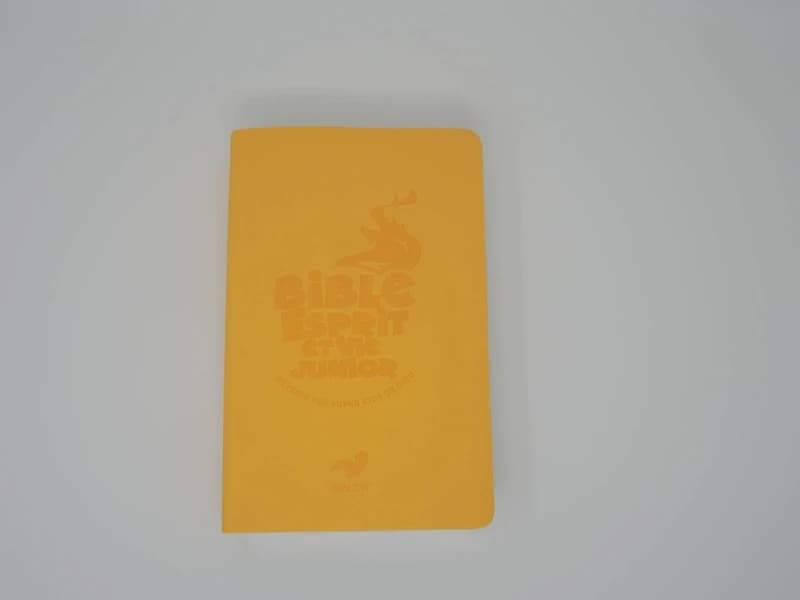 Bible esprit et vie junior : devenir des superkids de Dieu !