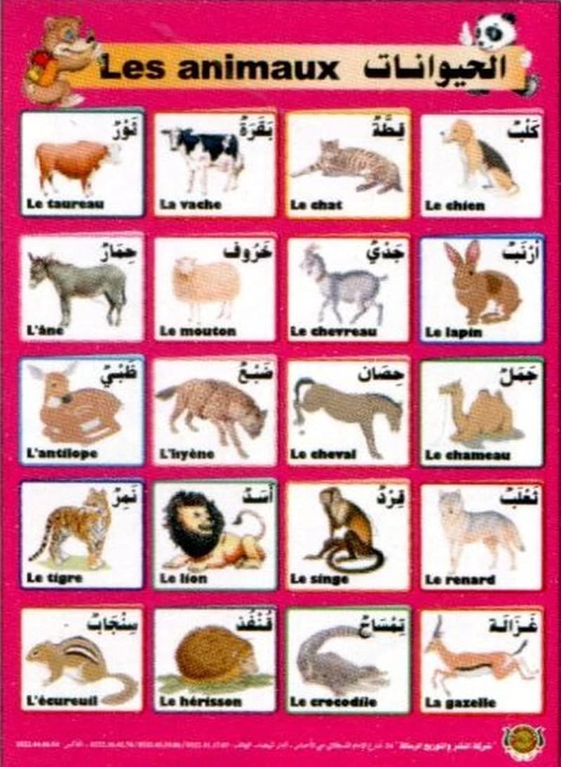 Poster éducatif Les animaux - صويرات تعليمية الحيوانات