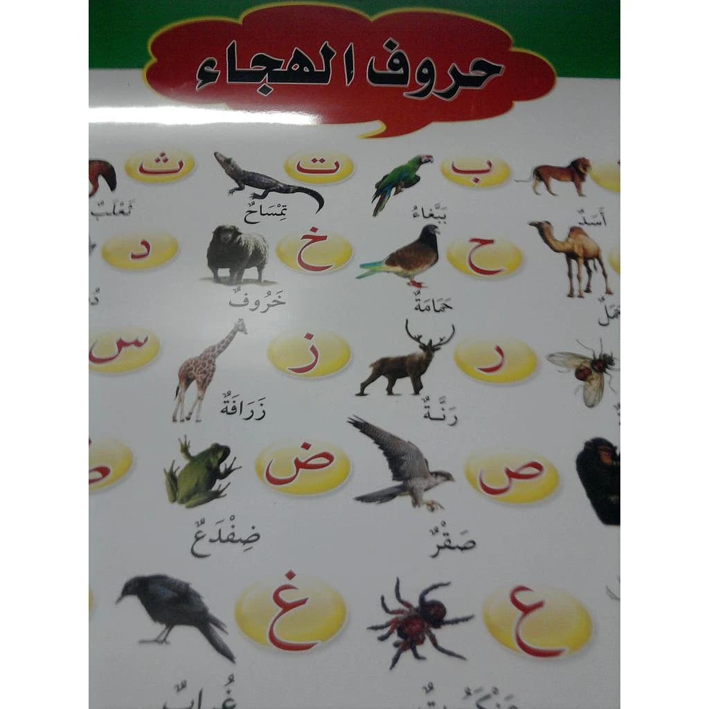 صويرات تعليمية حروف الهجاء