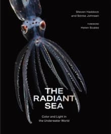 The Radiant Sea : Color and Light in the Underwater World
