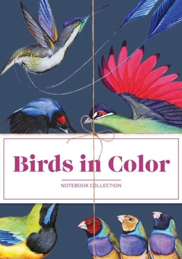 BIRDS IN COLOR NOTEBOOKS