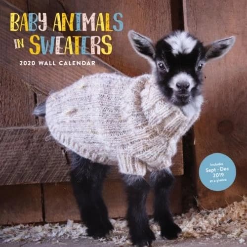 BABY ANIMALS IN SWEATERS 2020