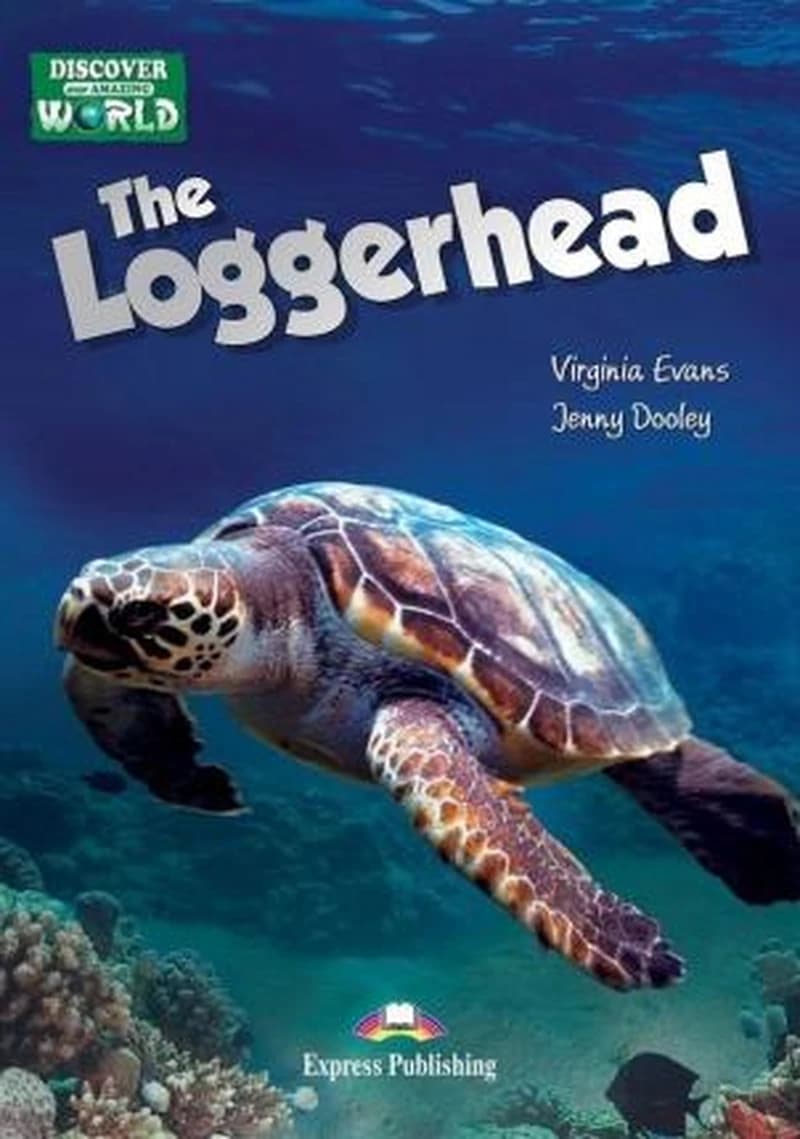 THE LOGGERHEAD READER WITH CROSS-PLATFORM APPLICATION