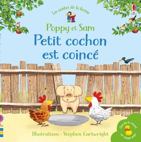 Petit Cochon est coincé