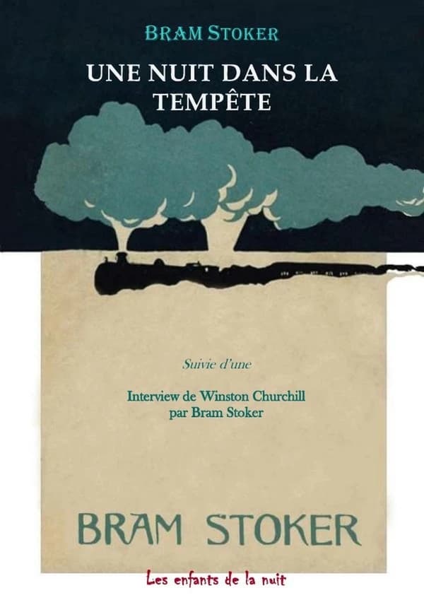 Nuit Dans la Tempête