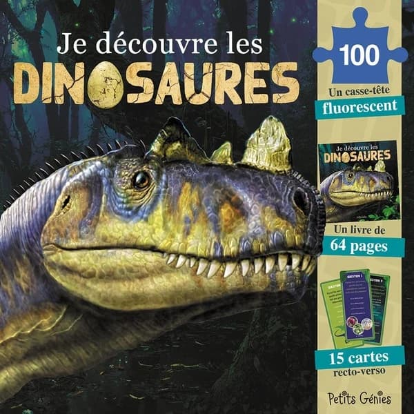 Je découvre les dinosaures : Avec 1 casse-tête fluorescent ; 1 livre de 64 pages et 15 cartes recto-verso