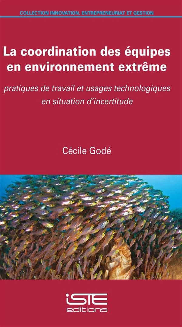 Coordination des Équipes en Environnement Extrême : Pratiques de Travail et Usages Technologiques en Situation d'Incertitude