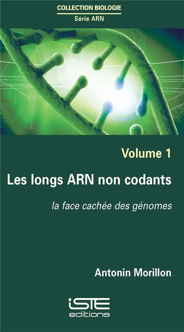 Les longs ARN non codants : la face cachée des génomes