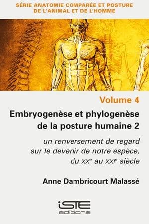 Embryogenèse et phylogenèse de la posture humaine. 2, Un renversement de regard sur le devenir de notre espèce, du XXe au XXIe siècle