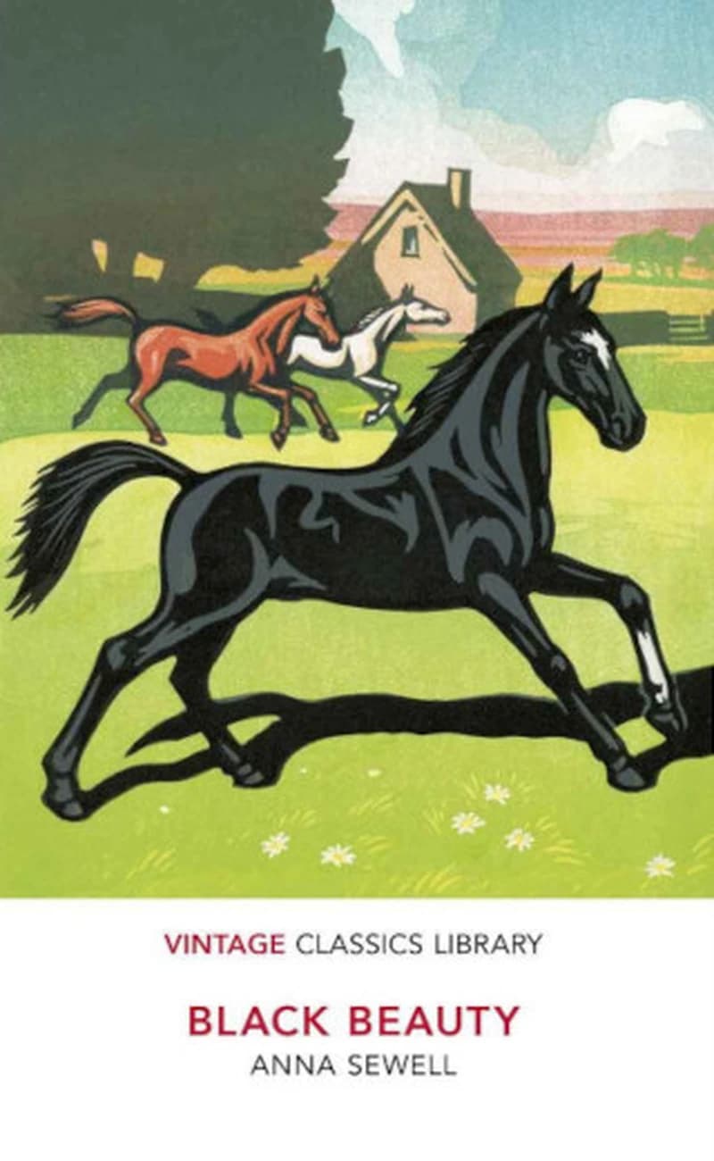 BLACK BEAUTY VINTAGE CLASSICS A FORMAT