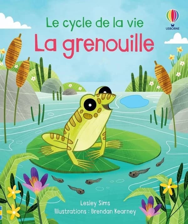 Le cycle de la vie : la grenouille