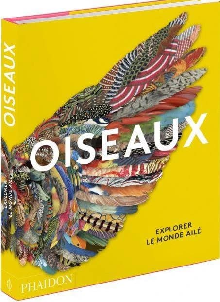Oiseaux : explorer le monde ailé
