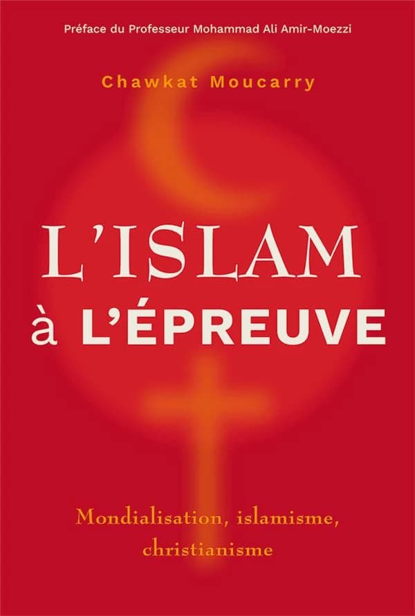Lislam à Lépreuve : Mondialisation, Islamisme, Christianisme