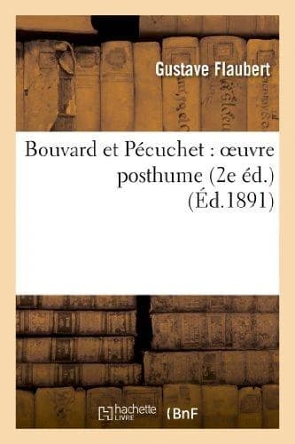 Bouvard et Pécuchet ; oeuvre posthume ; 2e édition