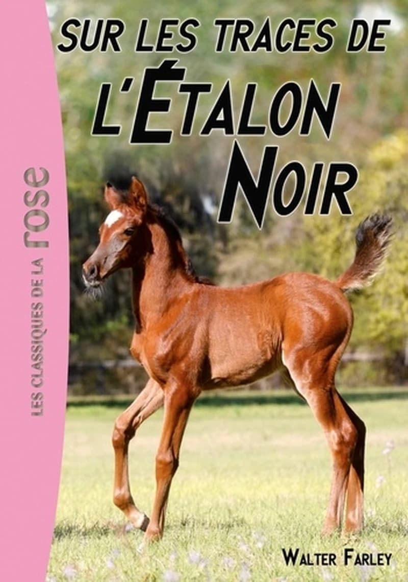 Sur les traces de l'étalon noir