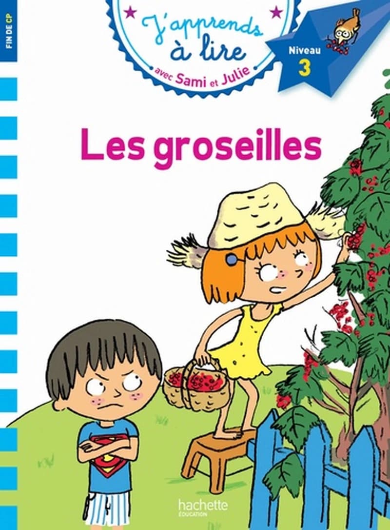 Sami Et Julie Cp Niveau 3 Les Groseilles