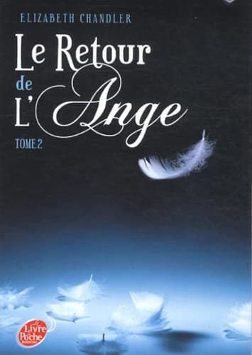 Le retour de l'ange. Tome 2