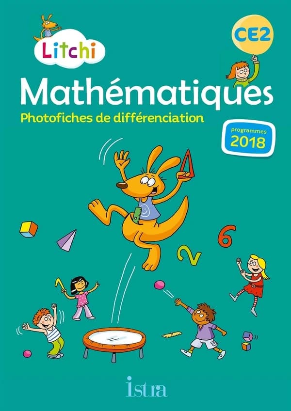 Litchi Tome 47 : mathématiques ; photofiches ; CE2 (édition 2020)