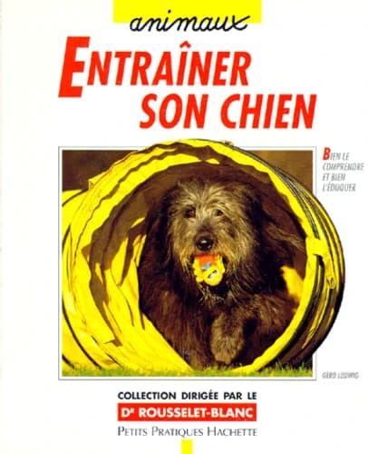 Entraîner son chien : des exercices adaptés pour des jeux en intérieur ou en extérieur
