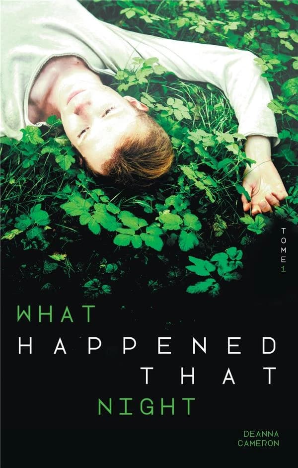 What happened that night. Tome 1