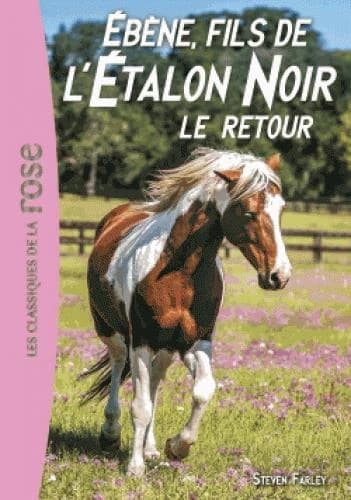 Ébène, fils de l'étalon noir : le retour