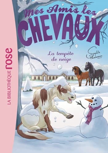 La tempête de neige