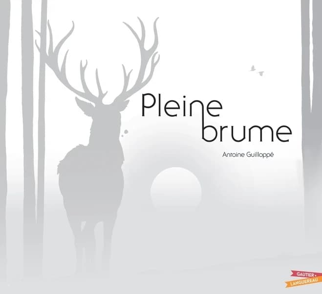 Pleine brume