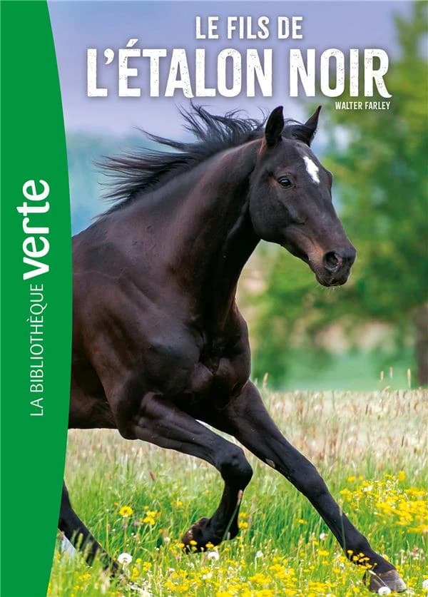 Le fils de l'étalon noir