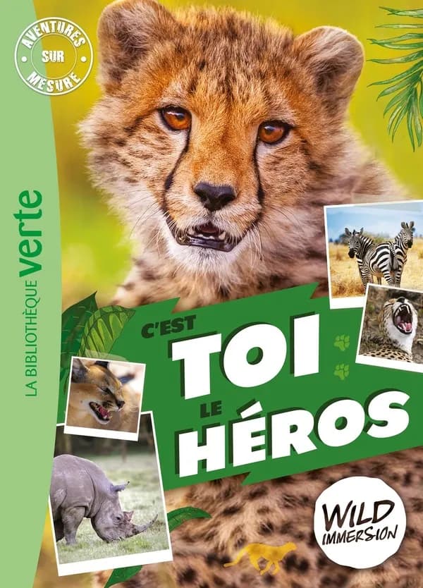 C'est toi le héros
