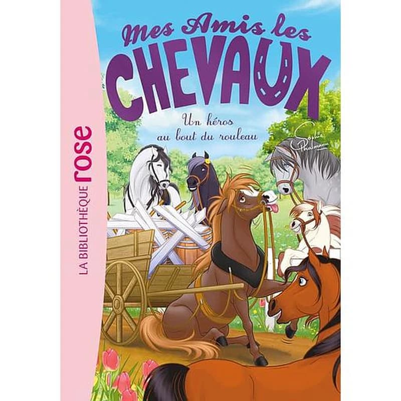 Un héros au bout du rouleau