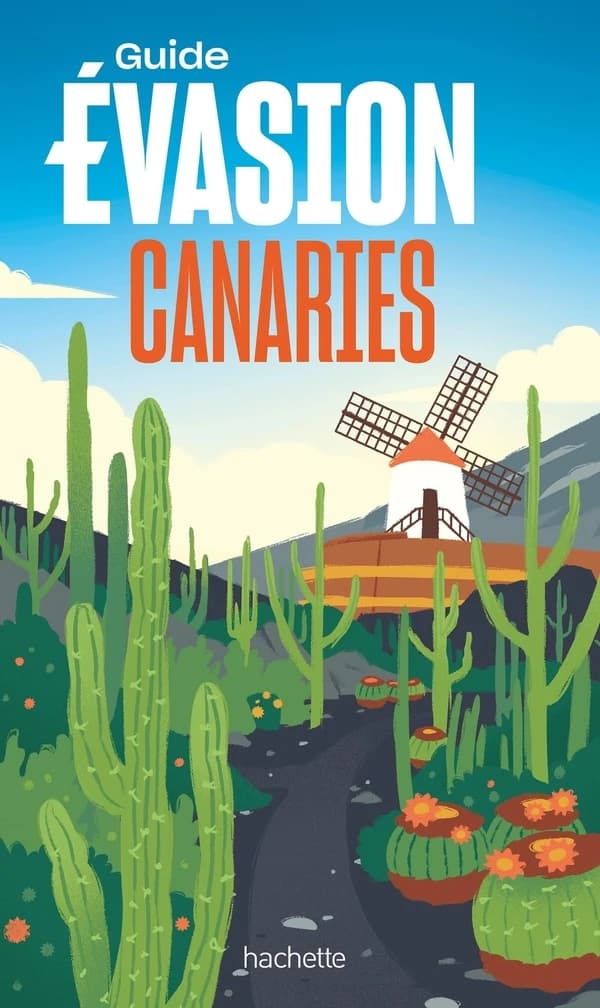 Canaries (Éd. mise à jour) [Denis Montagnon]