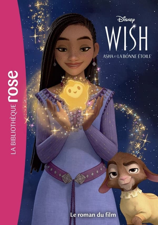 Wish, Asha et la bonne étoile : Le roman du film