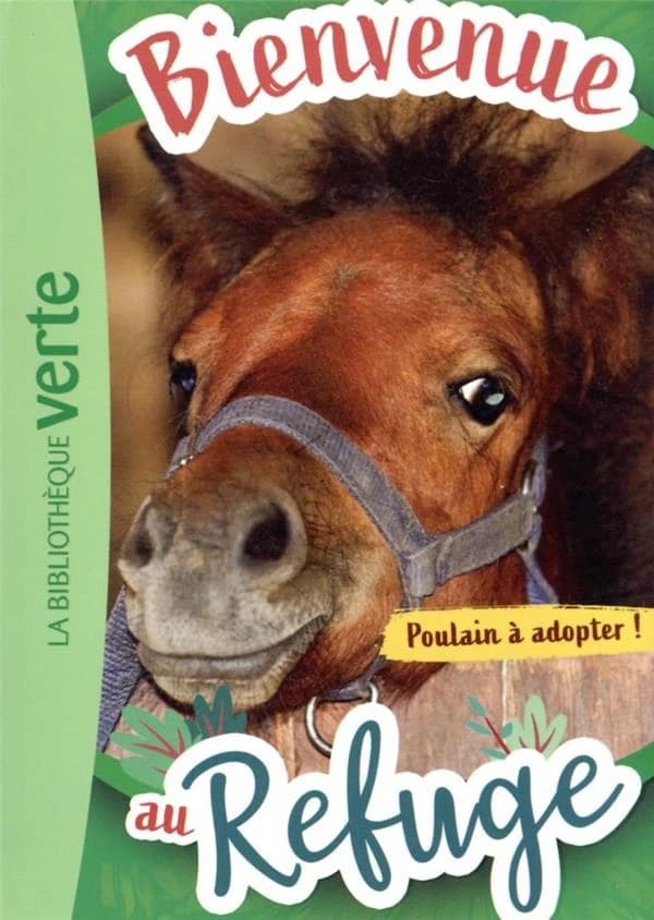 Bienvenue au refuge