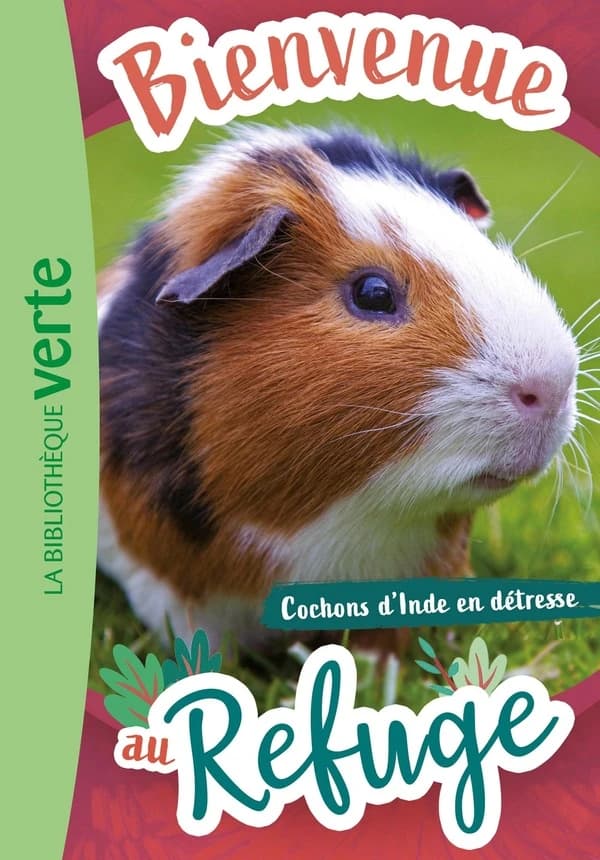 Cochons d'Inde en détresse