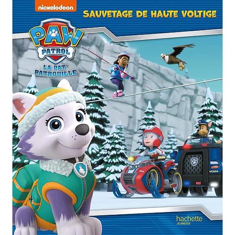 Sauvetage de haute voltige