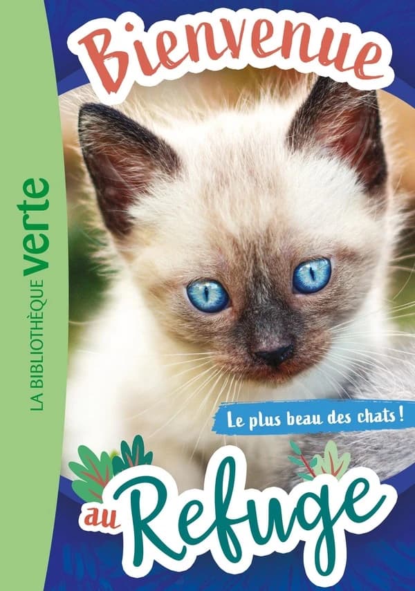 Le plus beau des chats !