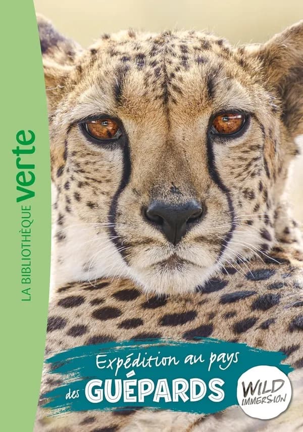 Expédition au pays des guépards