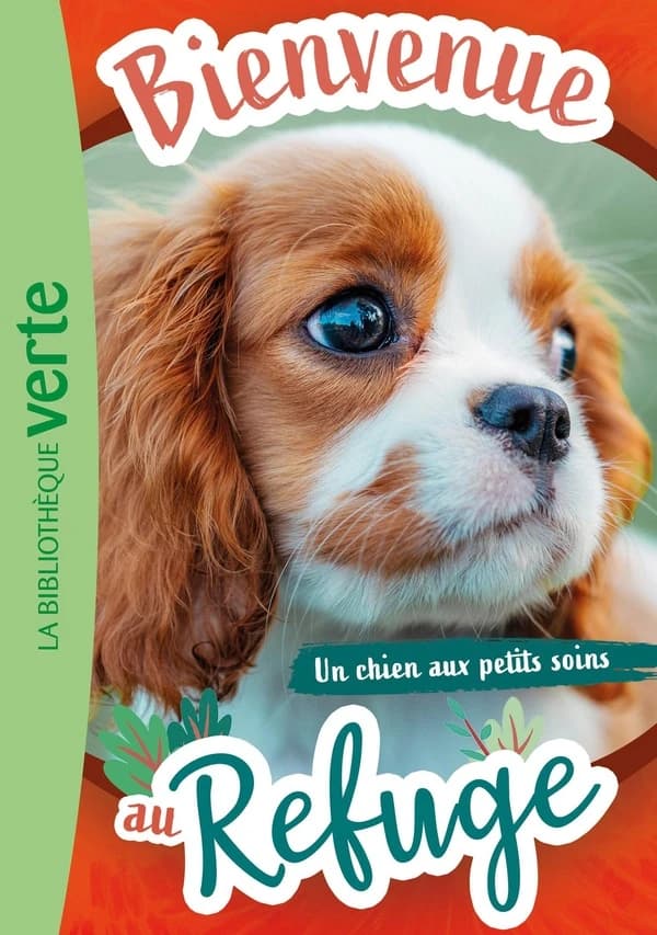 Un chien aux petits soins