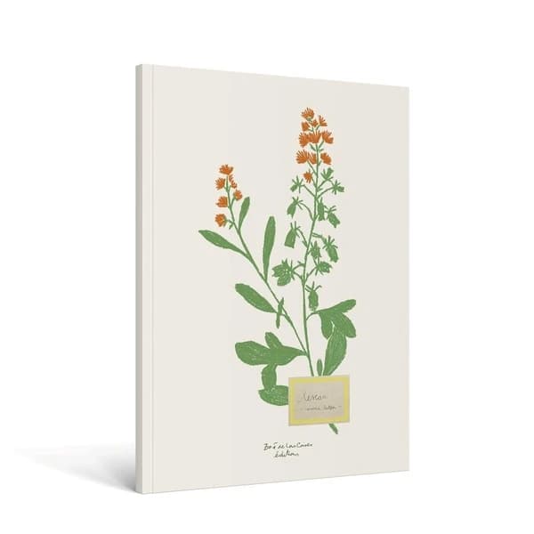 Carnet fleur