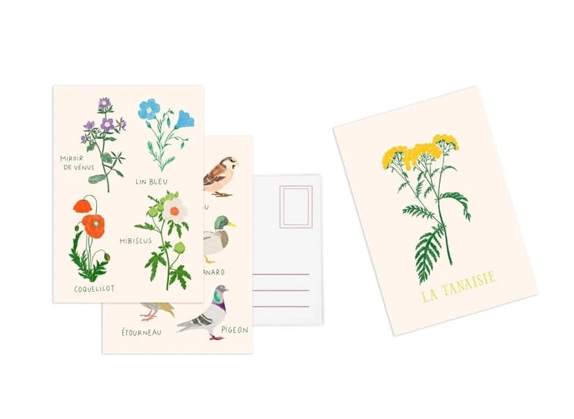 Set de 10 cartes postales Fleurs : [Carte de fantaisie]