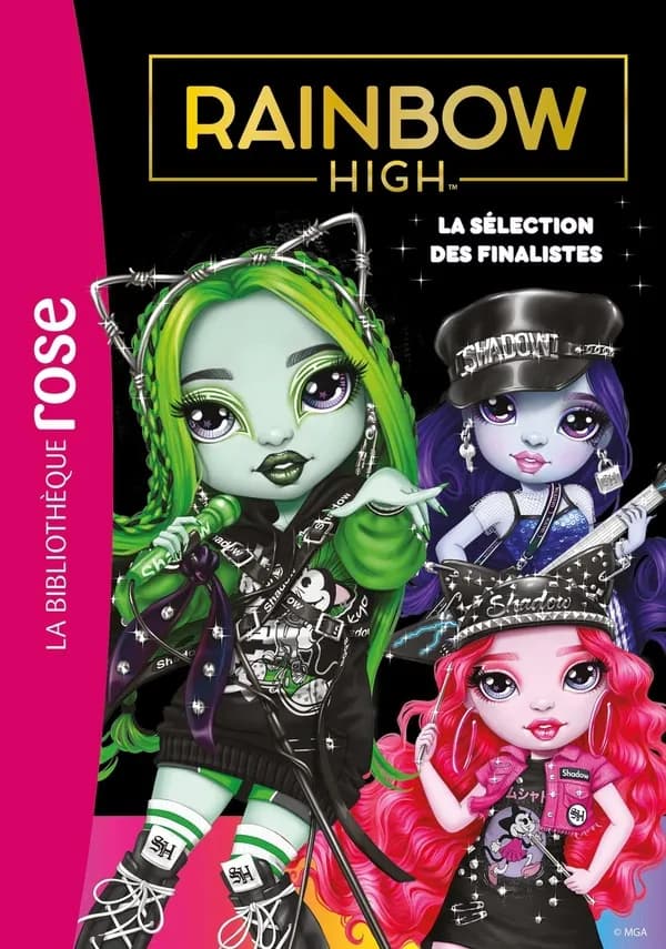 La sélection des finalistes