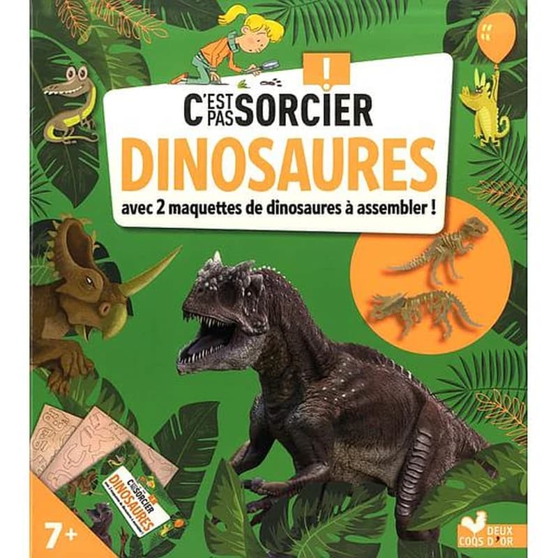 C'Est Pas Sorcier les Dinosaures - Boite avec Accessoires